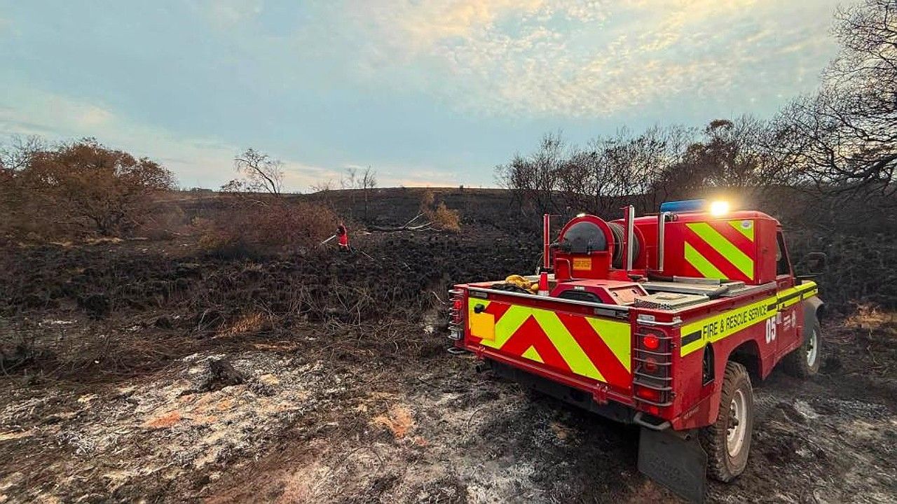 New Forest A31 wildfire impact assessed