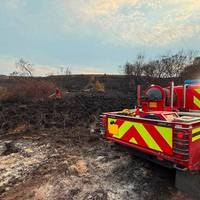 New Forest A31 wildfire impact assessed