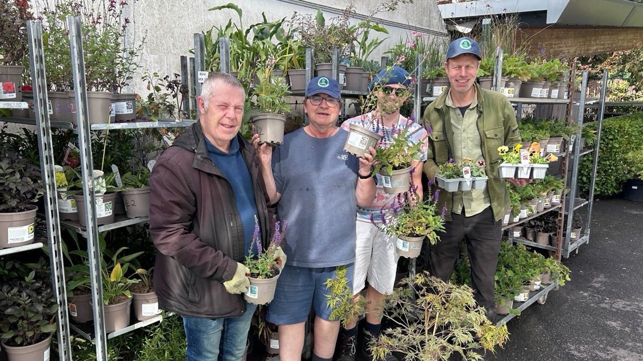 Poole plant sale will support wellbeing
