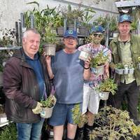 Poole plant sale will support wellbeing